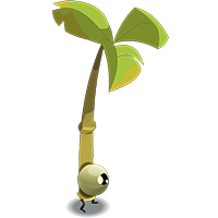 Tikoko