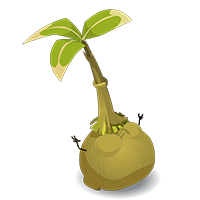 Grokoko